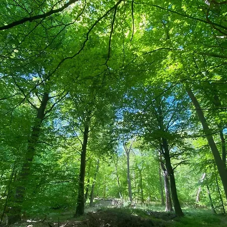 Luxushaus Boddenkueste Mit Lagune Und Sauna *